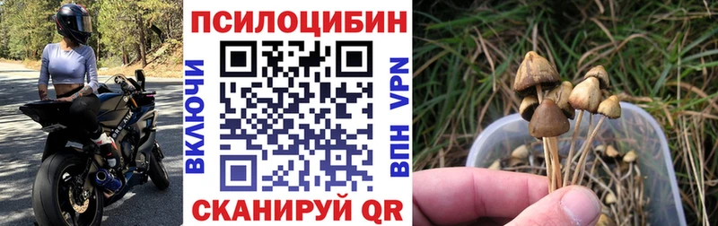 Галлюциногенные грибы мицелий  Бугульма 
